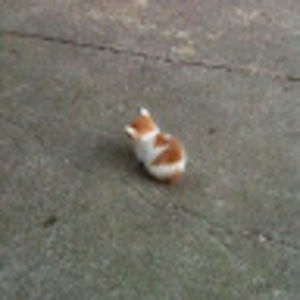 Meet your Posher, Valerie